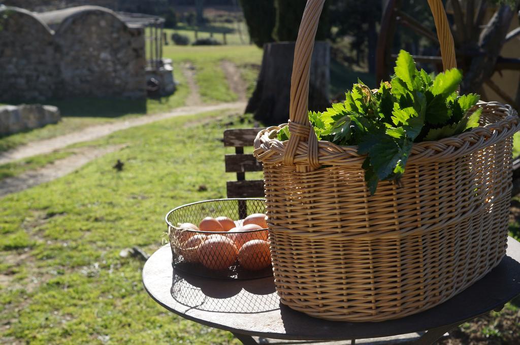 Séjour à la campagne Mas Roquet